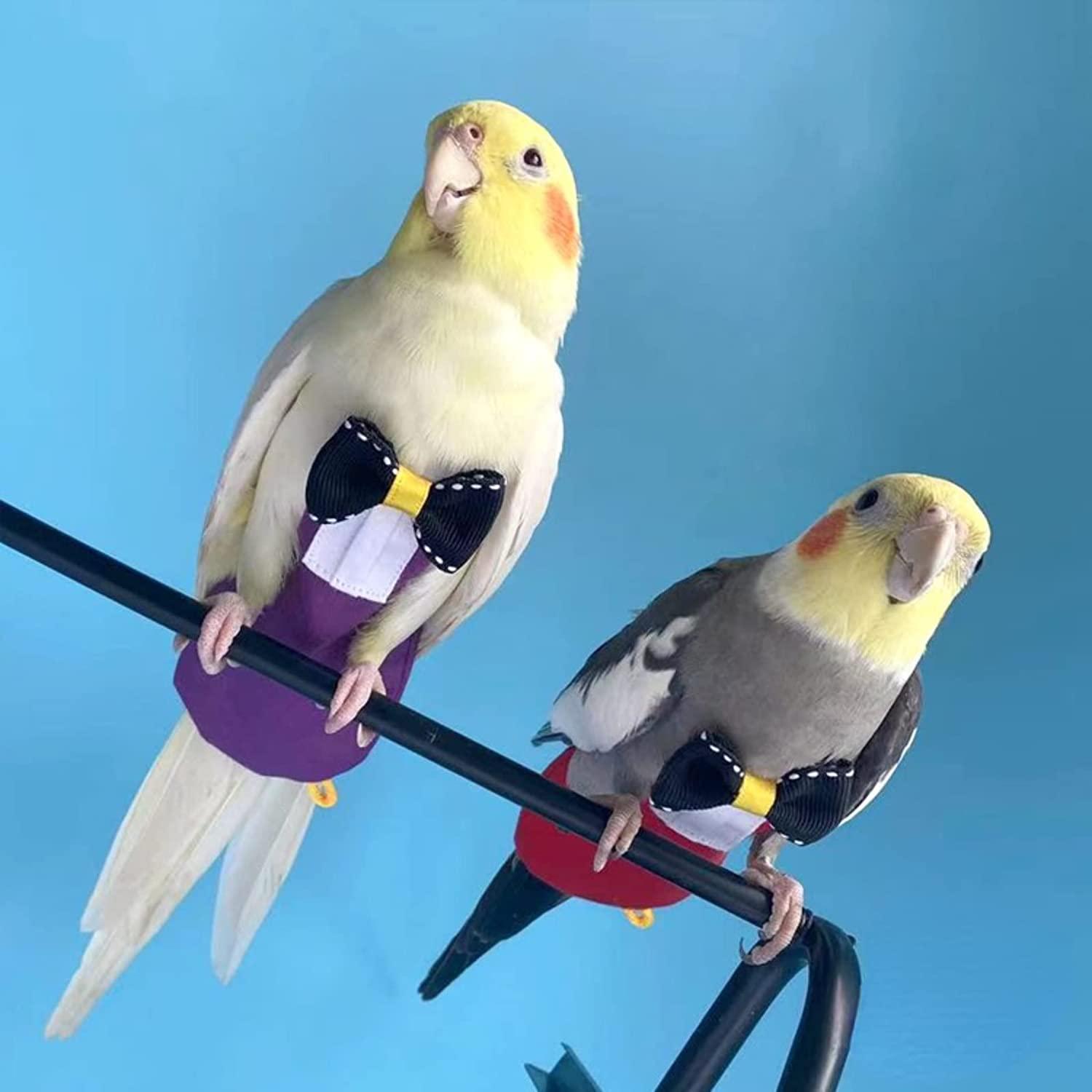 Cockatiel leash outlet