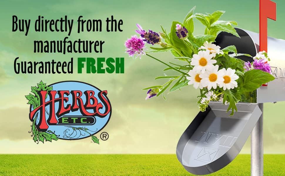 HB Pressure Tonic Herbs Etc 60 Softgel