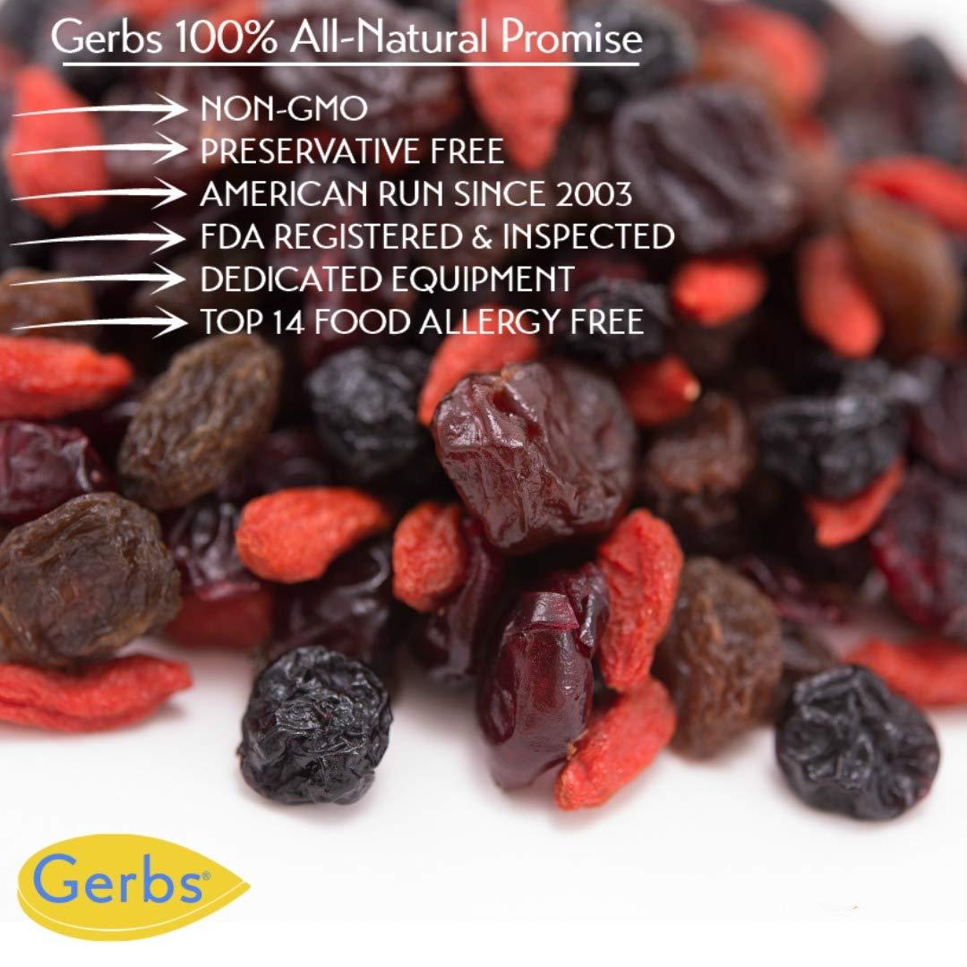 GERBS Super 5 Dried Fruit Snack Mix 2 LBS. Premium Top 14 Food