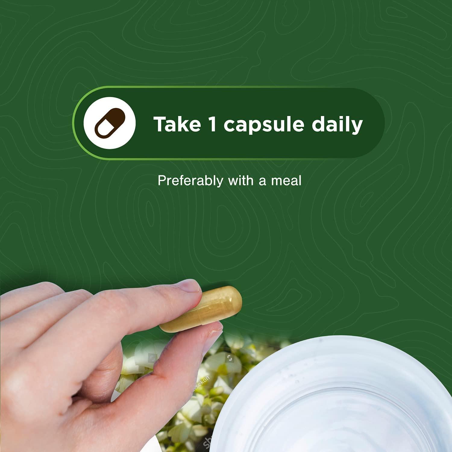 Quercetin & Bromelain Immune Support Supplement 500mg Quercetin