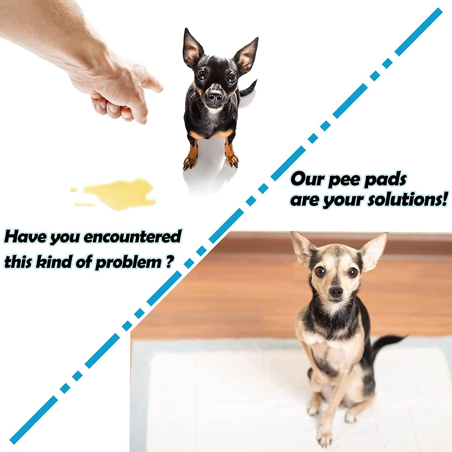 CAILOS Rabbit Pee Pads, Disposable Super Absorbent Diaper, Pet Toilet