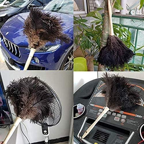 Genuine Ostrich Feather Duster Fluffy Natural with Wooden Handle and  Eco-Friendly Reusable Handheld Cleaning Supplies, Gray and Brown(Length 16)