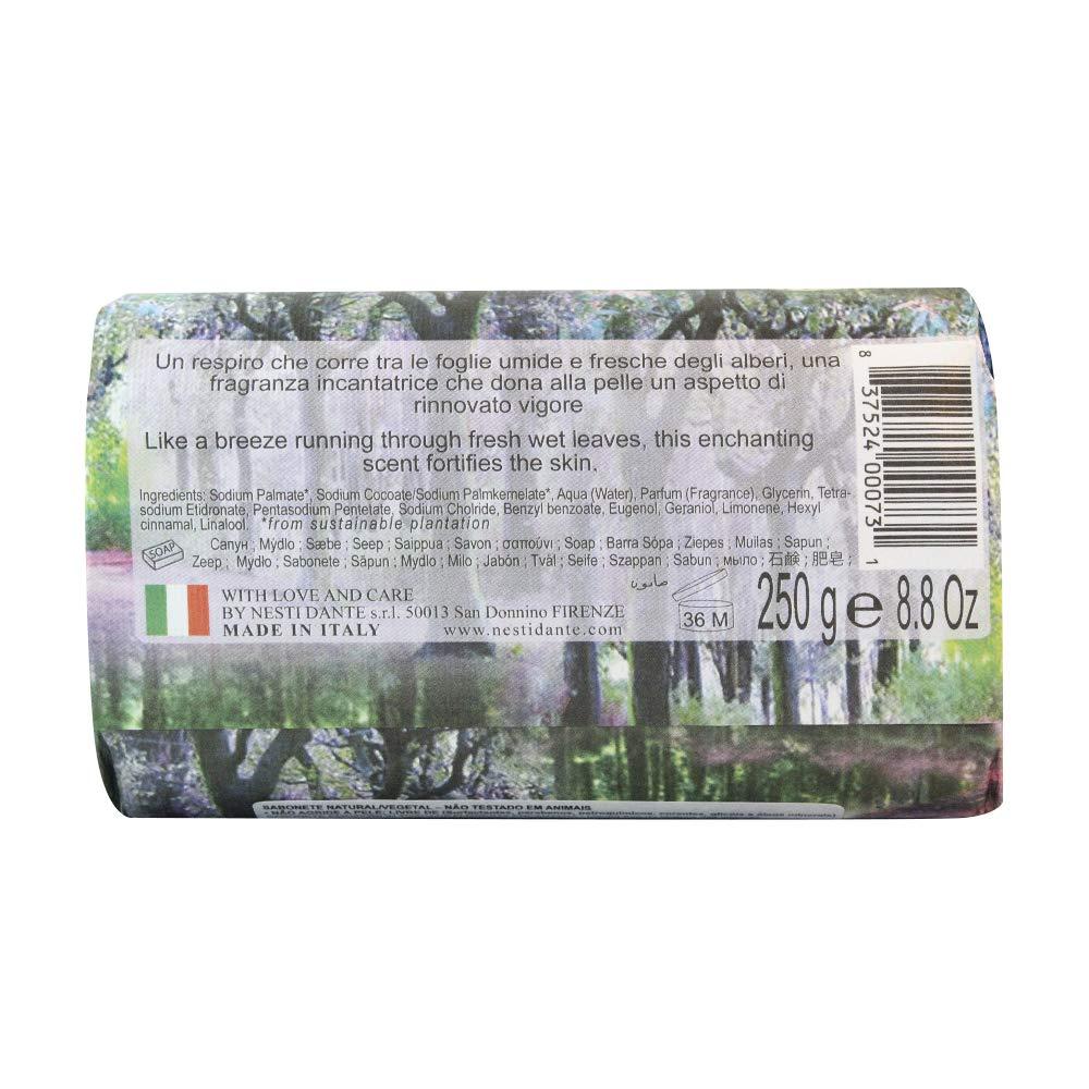 Nesti Dante Natural Soap - Enchanting Forest Scent From Tuscany 250g