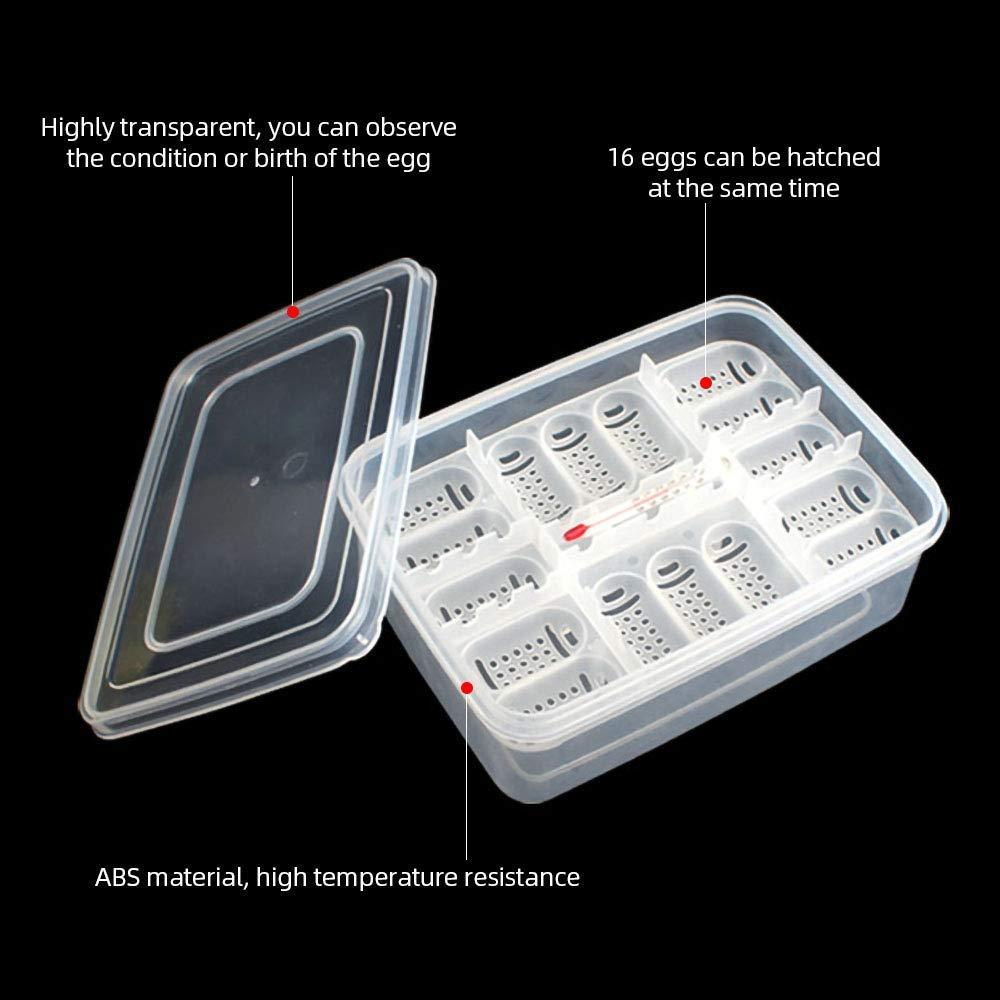 16 Grids Reptiles Eggs Incubator Tray, Amphibians Hatchery