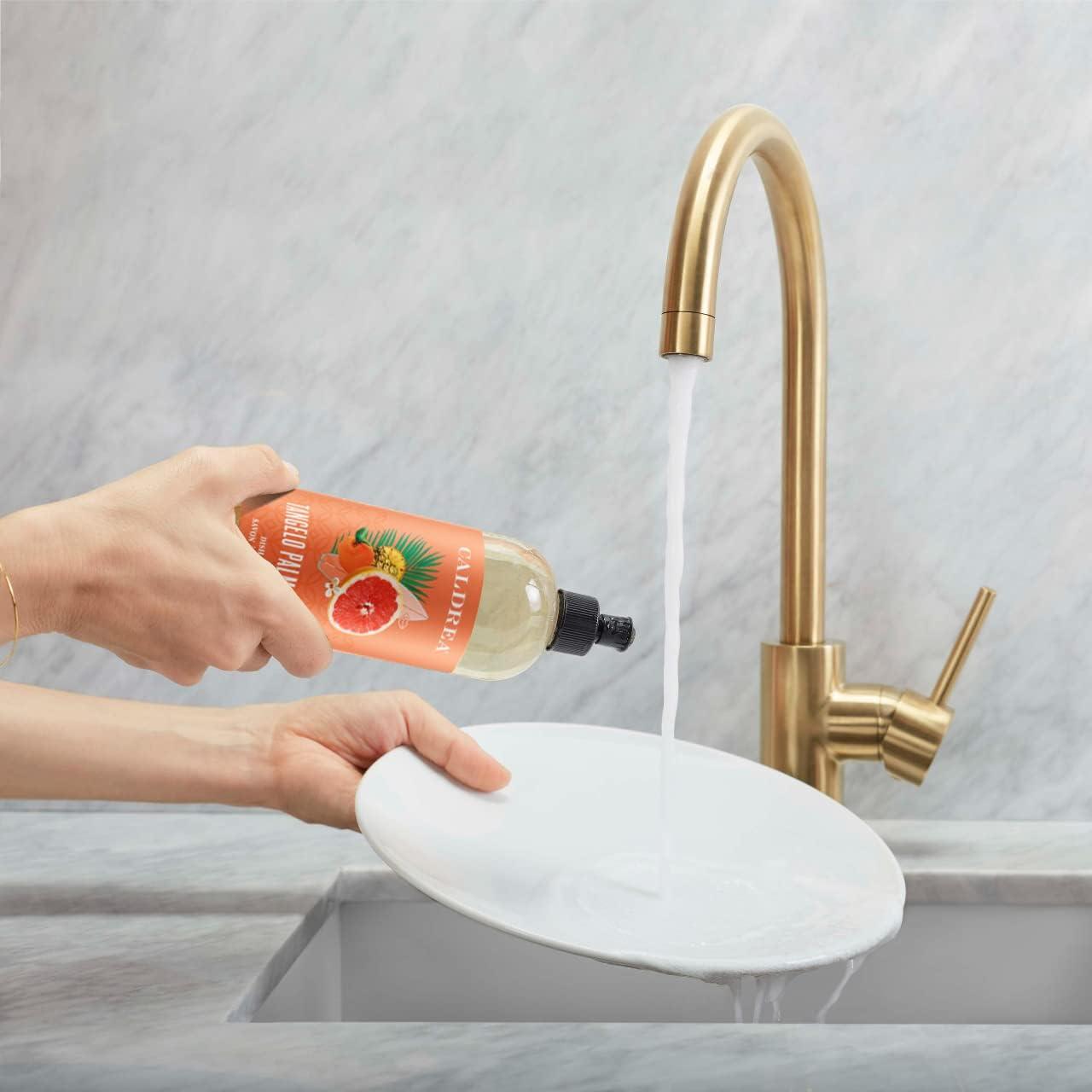 Caldrea Dish Soap, Biodegradable Dishwashing Liquid made With Soap Bark
