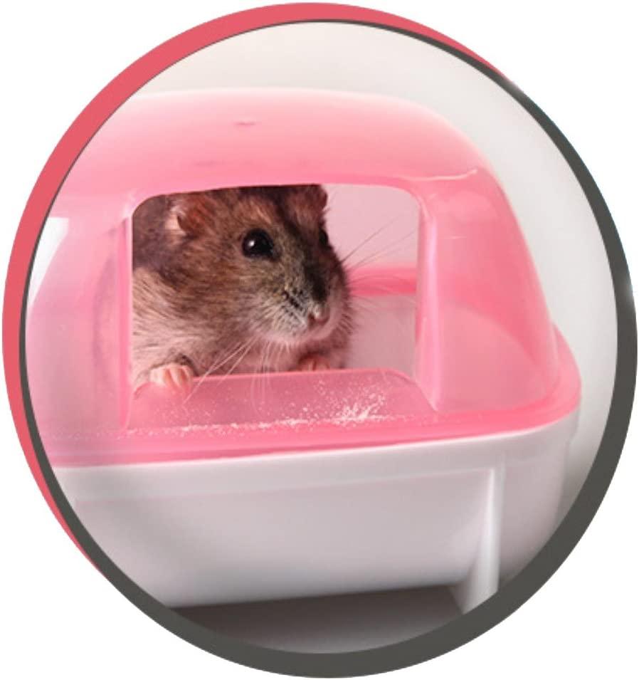 Hamster Bathing Sand,Gerbil Powder Grooming Sand for Tiny Friends Farm Chinchilla Dust Bath