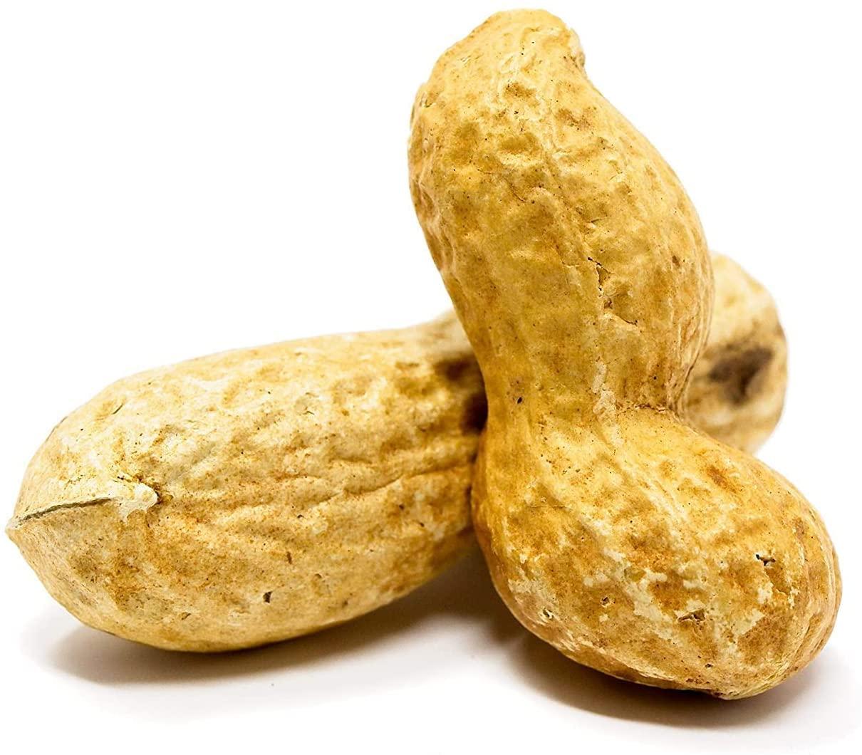 Premium USA Grown Raw Peanuts in Shell for Squirrels Unsalted & Boiled Jumbo Peanuts for Birds
