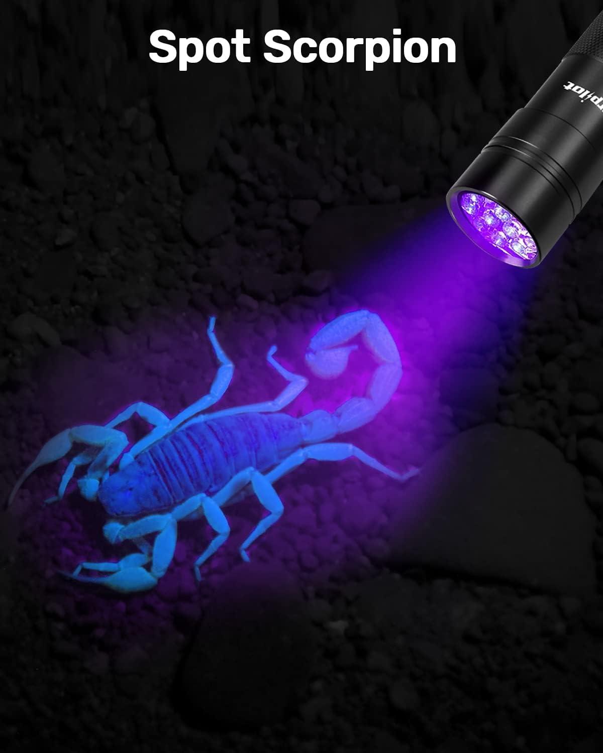 Scorpion black deals light flashlight
