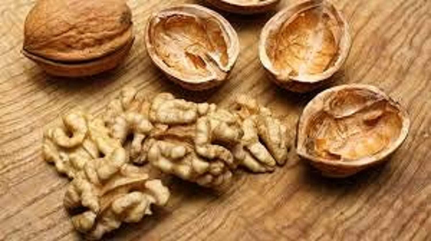 In Shell Walnuts (1 Lbs.) Jumbo Natural California Walnuts Great