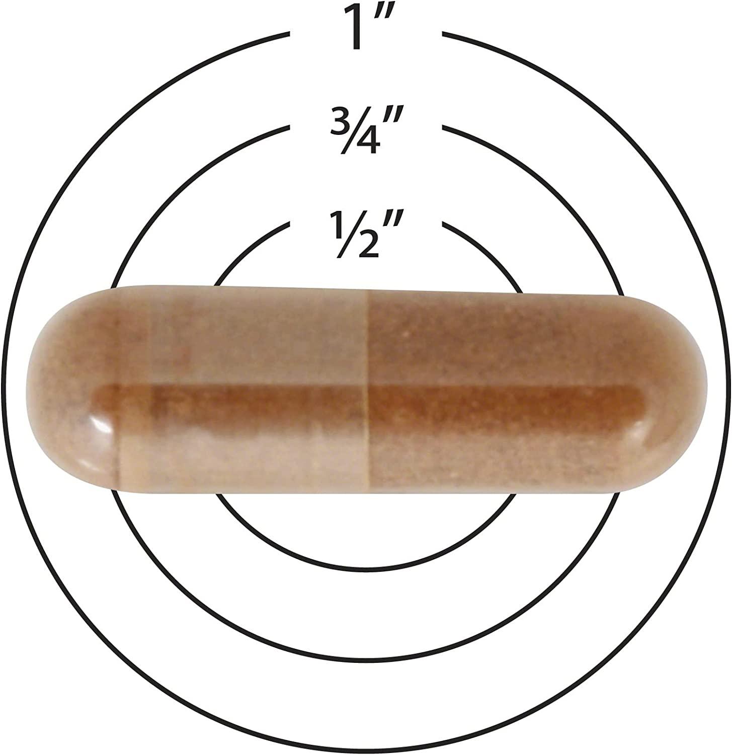 Sundown Naturals Cinnamon 1000 mg 200 Capsules