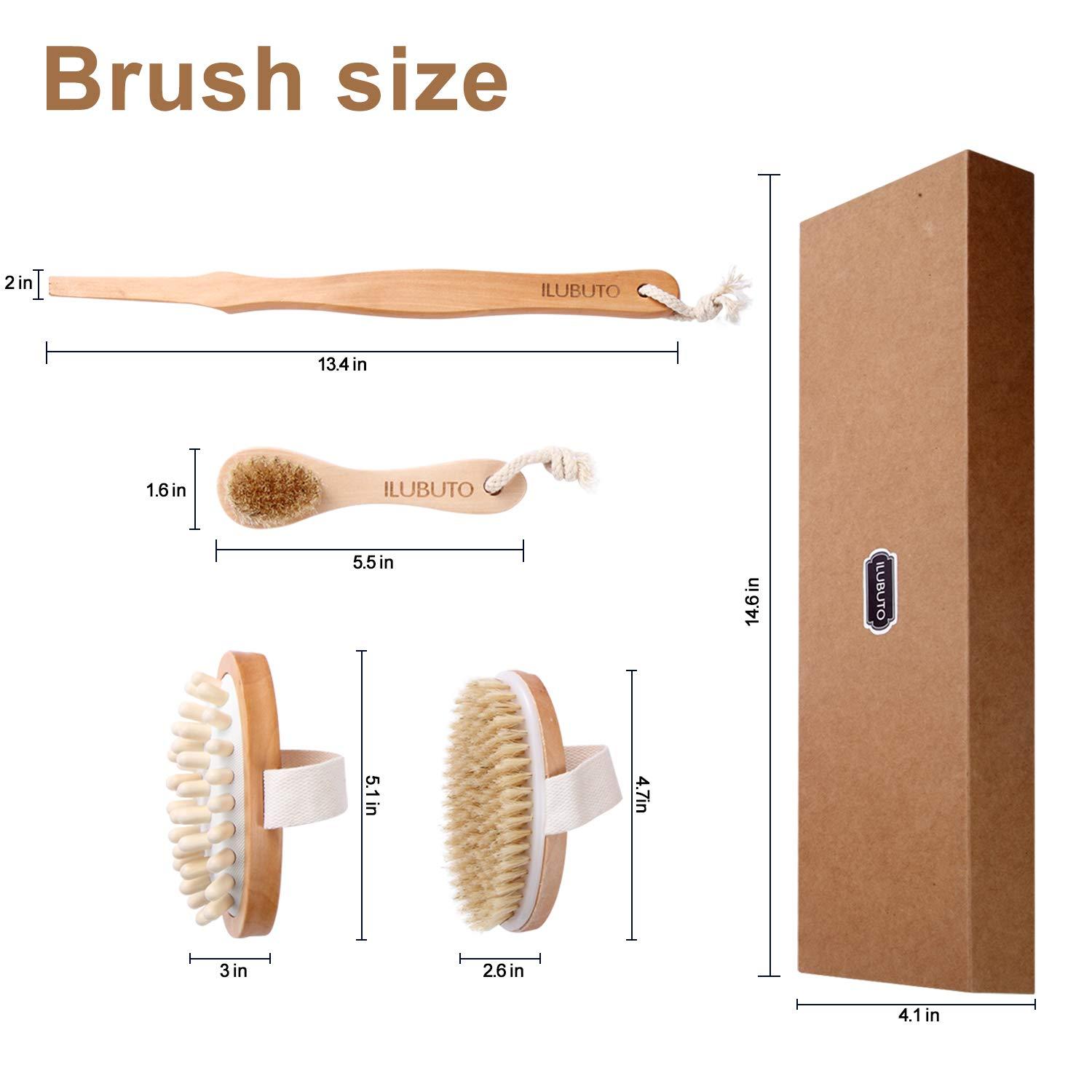Dry Skin Body Brush Natural Bristle Remove Dead And Toxins, Cellulite Treatment,exfoliates
