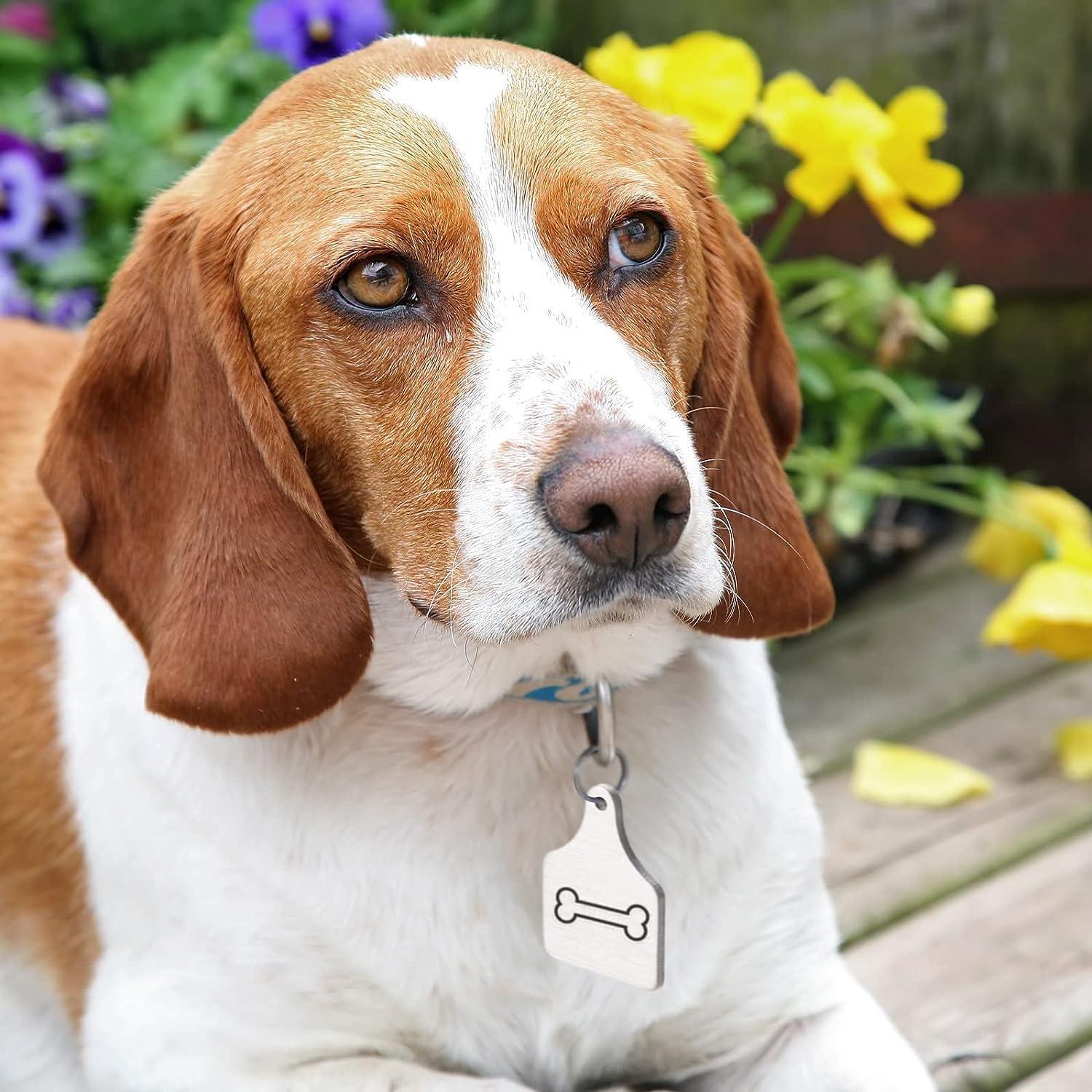 Metal Stamps 50-Pack Aluminum Cow Tags Blank Stamping