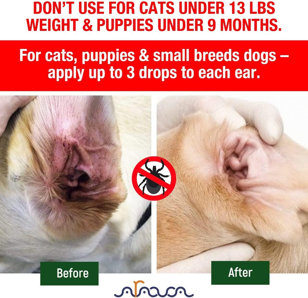 Natural ear mite medicine for cats store