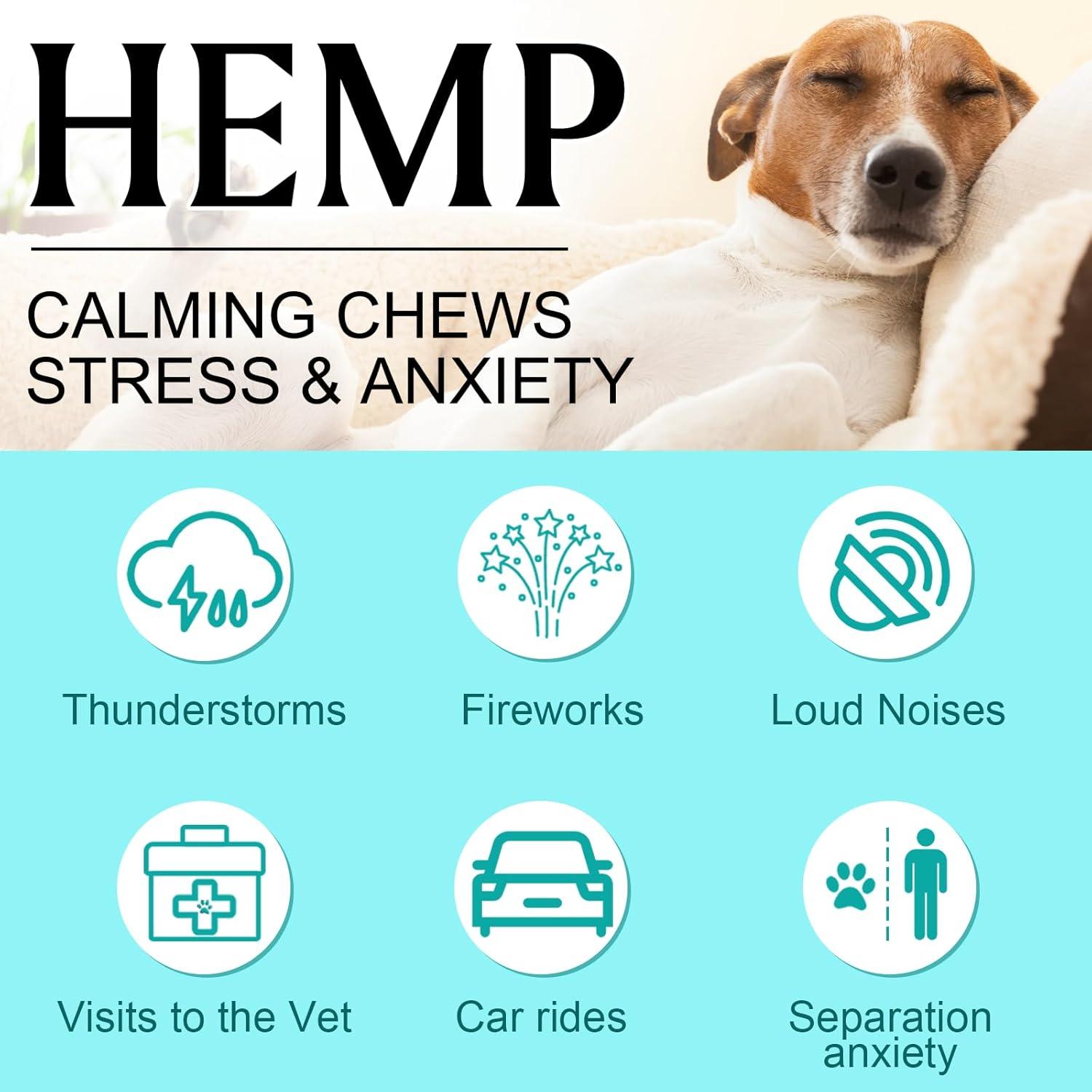 Separation Anxiety How To Stop Puppy Crying In The Night