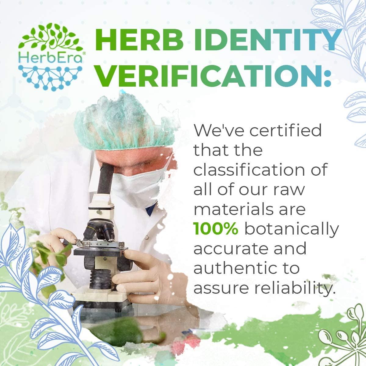 Artichoke B120 AlcoholFree Herbal Extract Tincture, Concentrated Liquid Drops Natural Artichoke