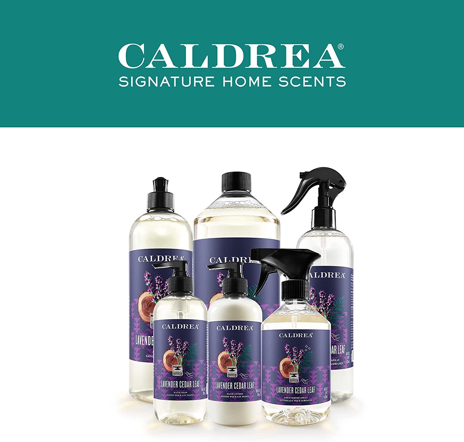 Caldrea Biodegradable Dish Soap Lavender Cedar Leaf, 16 oz (3 Pack