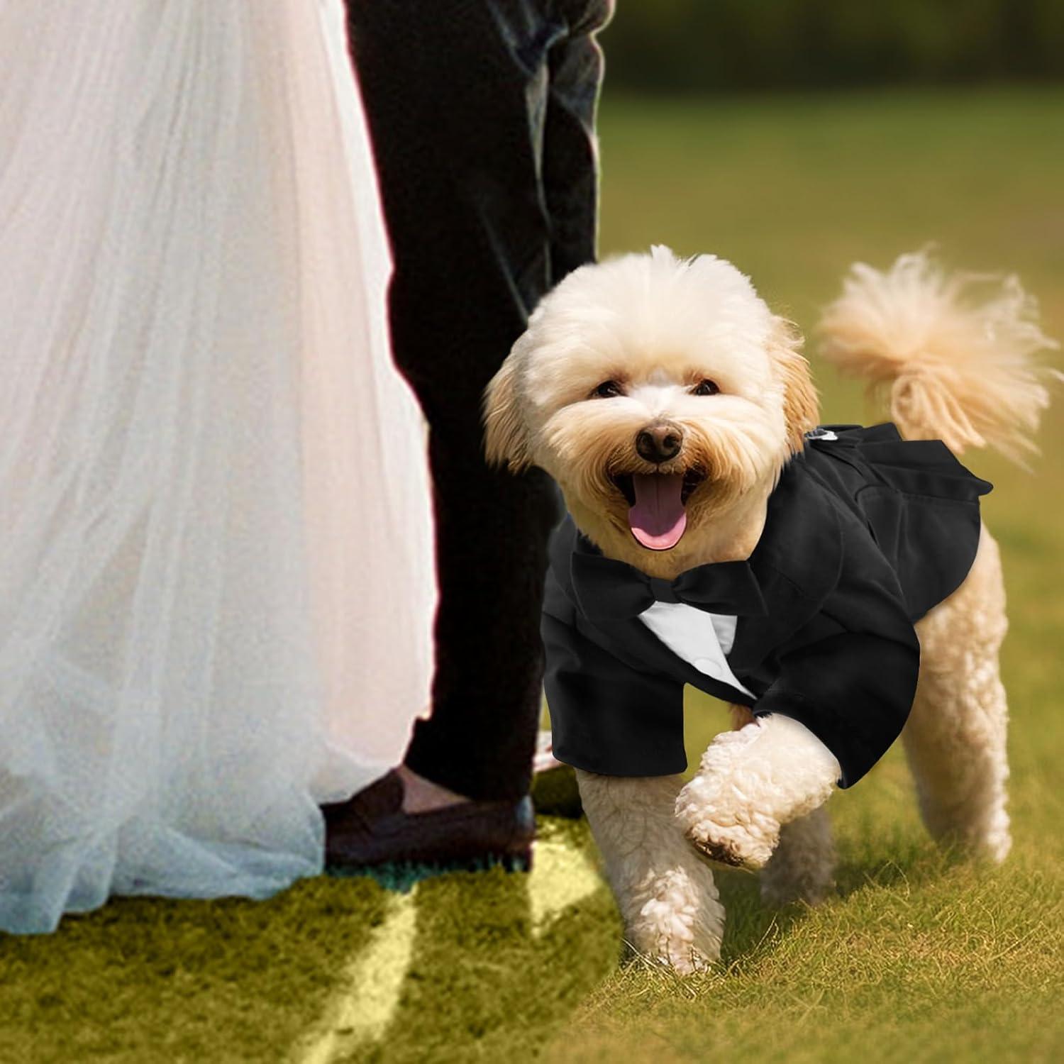 dillards formal black dress Black Polka Dot Ruffled Dog Vest Harness – SpoiledDogDesigns.com main image 1