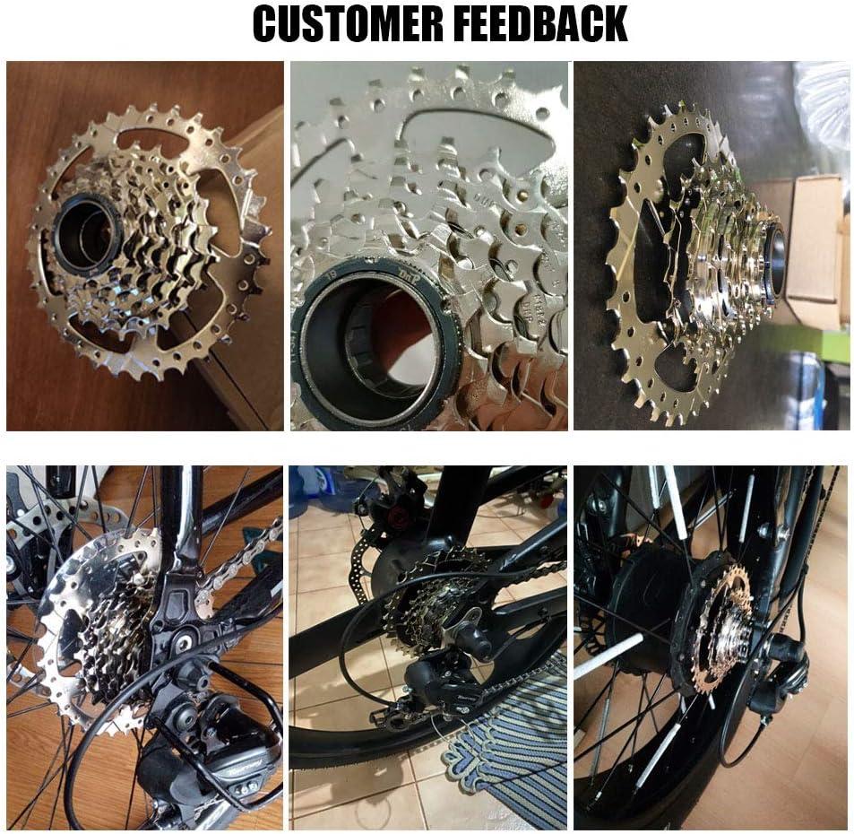 Sram 7 speed hotsell freewheel