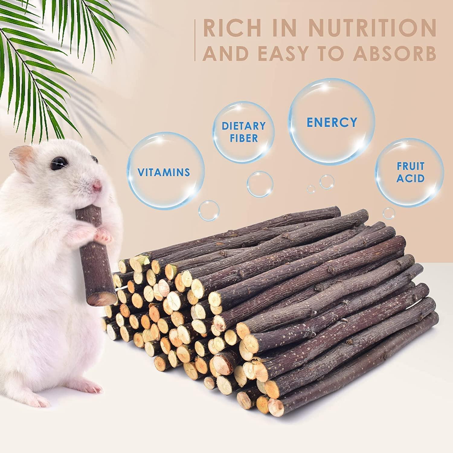 Apple sticks for top hamsters