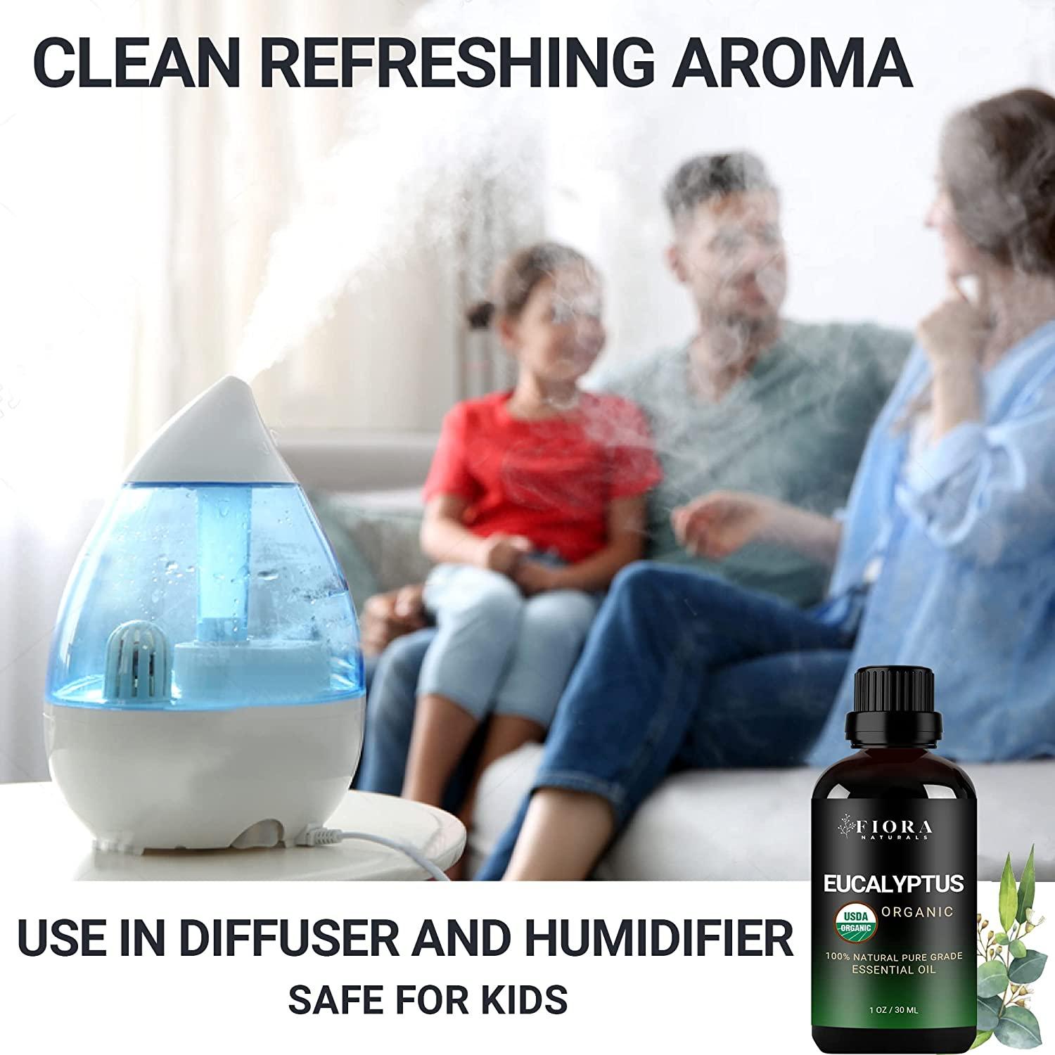 Organic Eucalyptus Essential Oil 100 Pure Eucalyptus Oil for