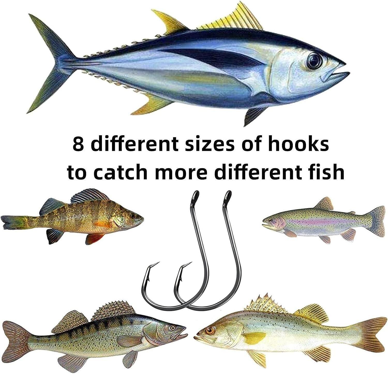 220-Piece Fishing Hooks Set | 2X Strong Circle Hooks for Freshwater & Saltwater Fishing | Offset Octopus Catfish Hooks in Multiple Sizes | BLACK Finish | Buy Now with Express International Delivery | GoSupps.com 220-Piece Fishing Hooks Set | 2X Strong Circle Hooks for Freshwater & Saltwater Fishing | Offset Octopus Catfish Hooks in Multiple Sizes | BLACK Finish | Buy Now with Express International Delivery | GoSupps.com