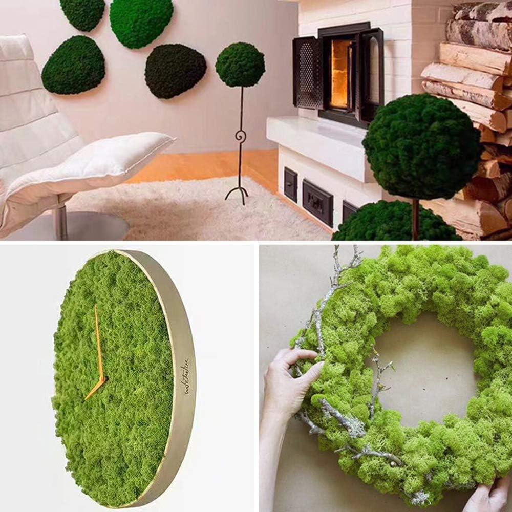  FAICOIA Preserved Moss Bulk Green Natural Preserved Pole Moss  Pillow for Potted Plants 2.5 sq.ft Green Moss Balls for Bowls Wall Art  Terrariums Crafts Fairy Gardens Easter Table Decor : Arts