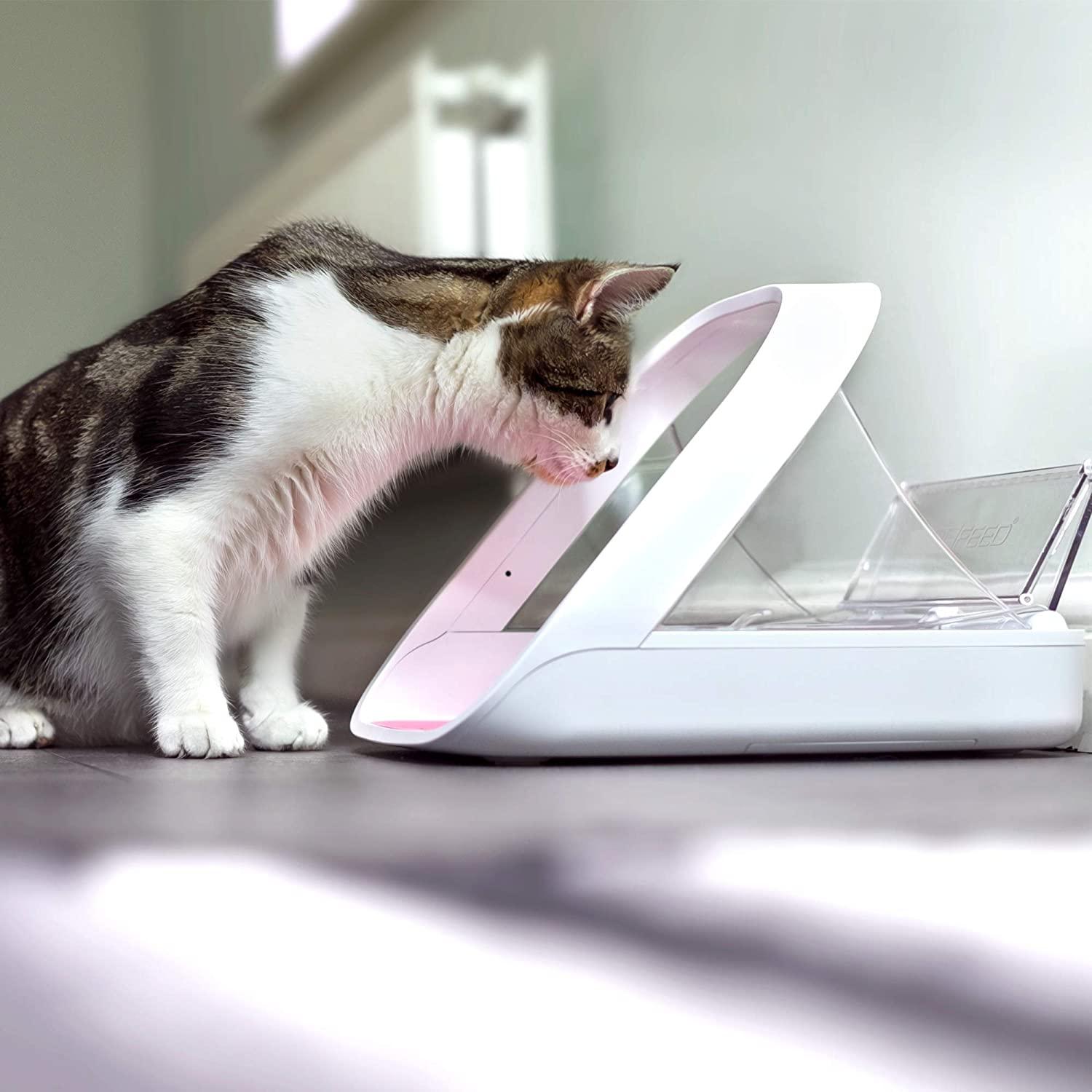 SureFeed Microchip Pet Feeder Connect Without Hub App Controlled