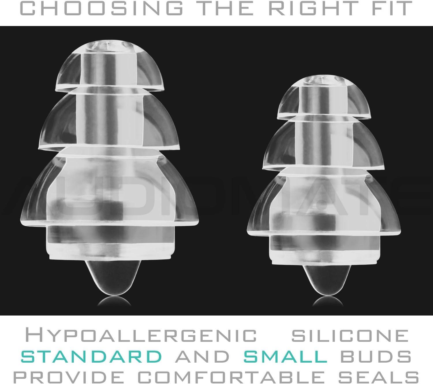 Audiomate HighFidelity Earplugs with Metal Keychain Carry Case and 2