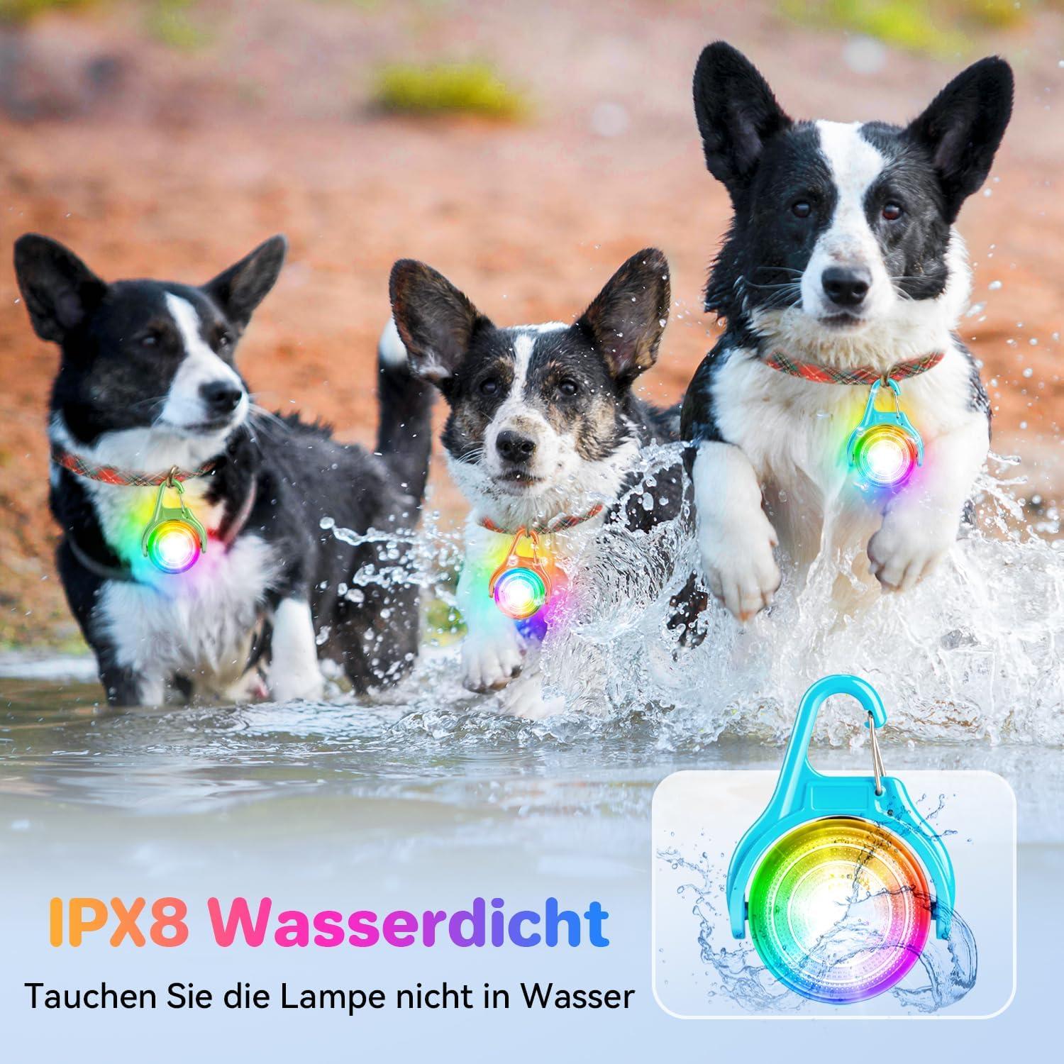 Dokkita Rechargeable LED Dog Light - RGB Color-Changing & 4 Flashing Modes | Safety USB Charging ...