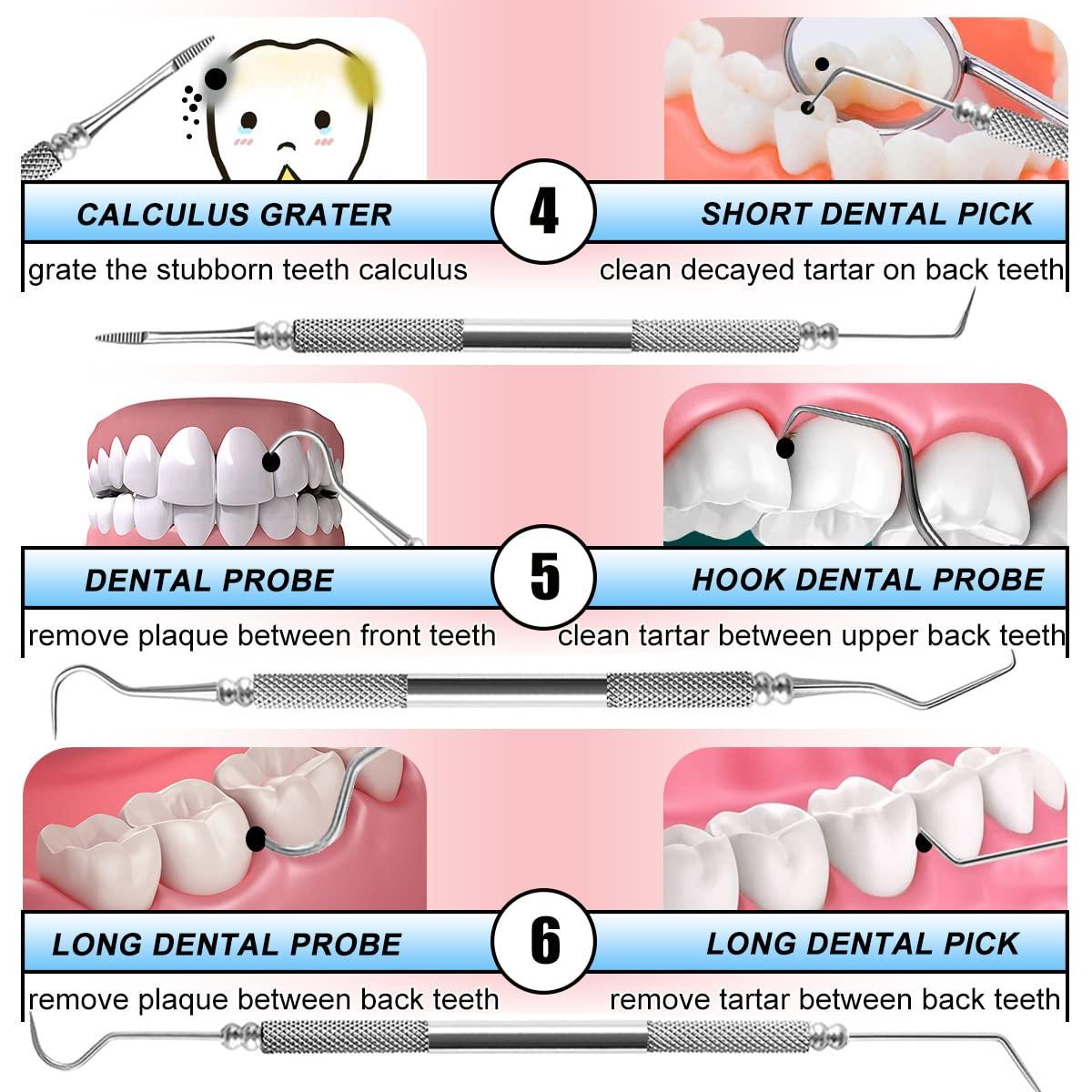 Dental Tools Smile Dent Pro Kit, Stainless Steel Dental Scaler, Mouth –  Protector Dental