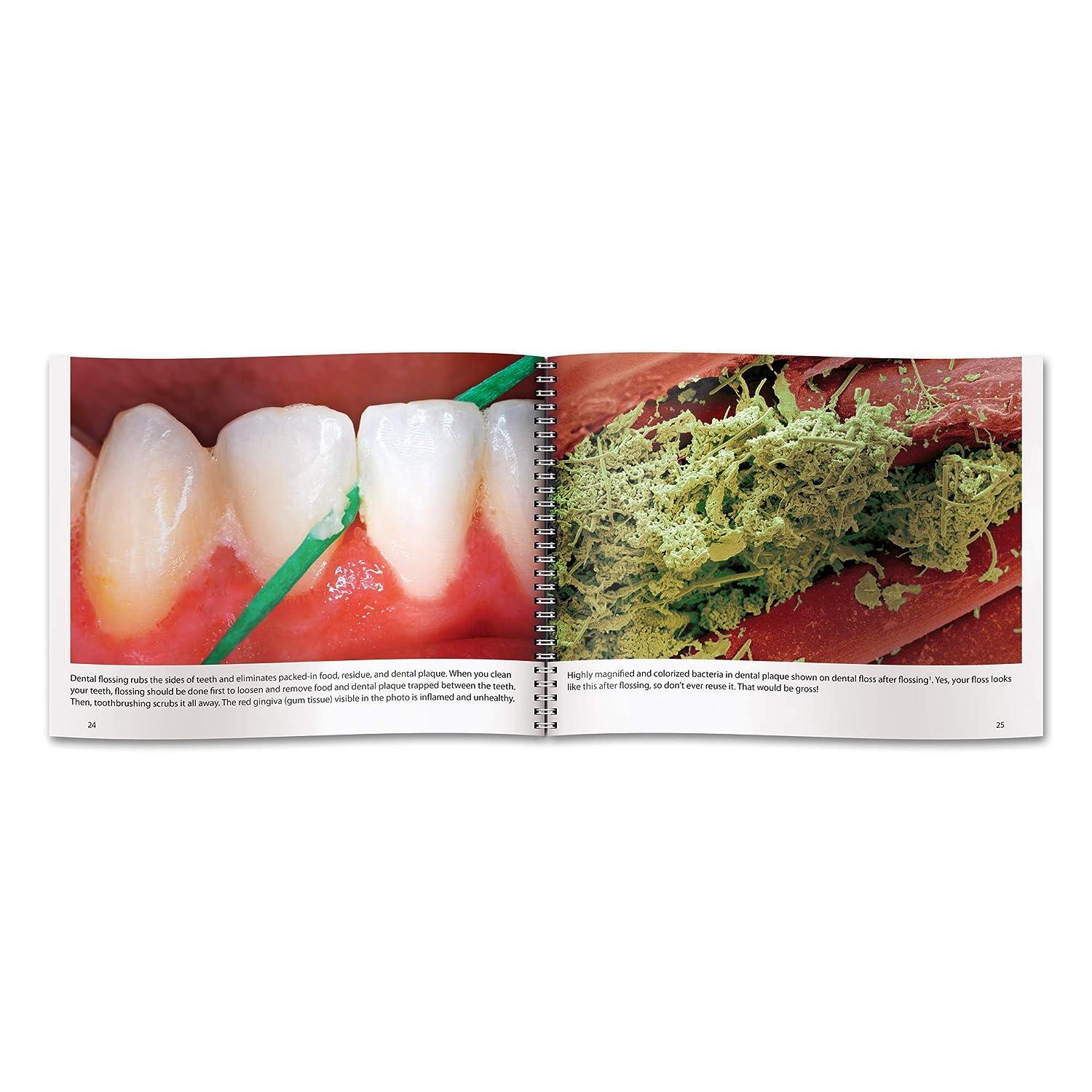 Practicon 8010836 Grossest Truly Terrifying But Utterly Awesome Mouth