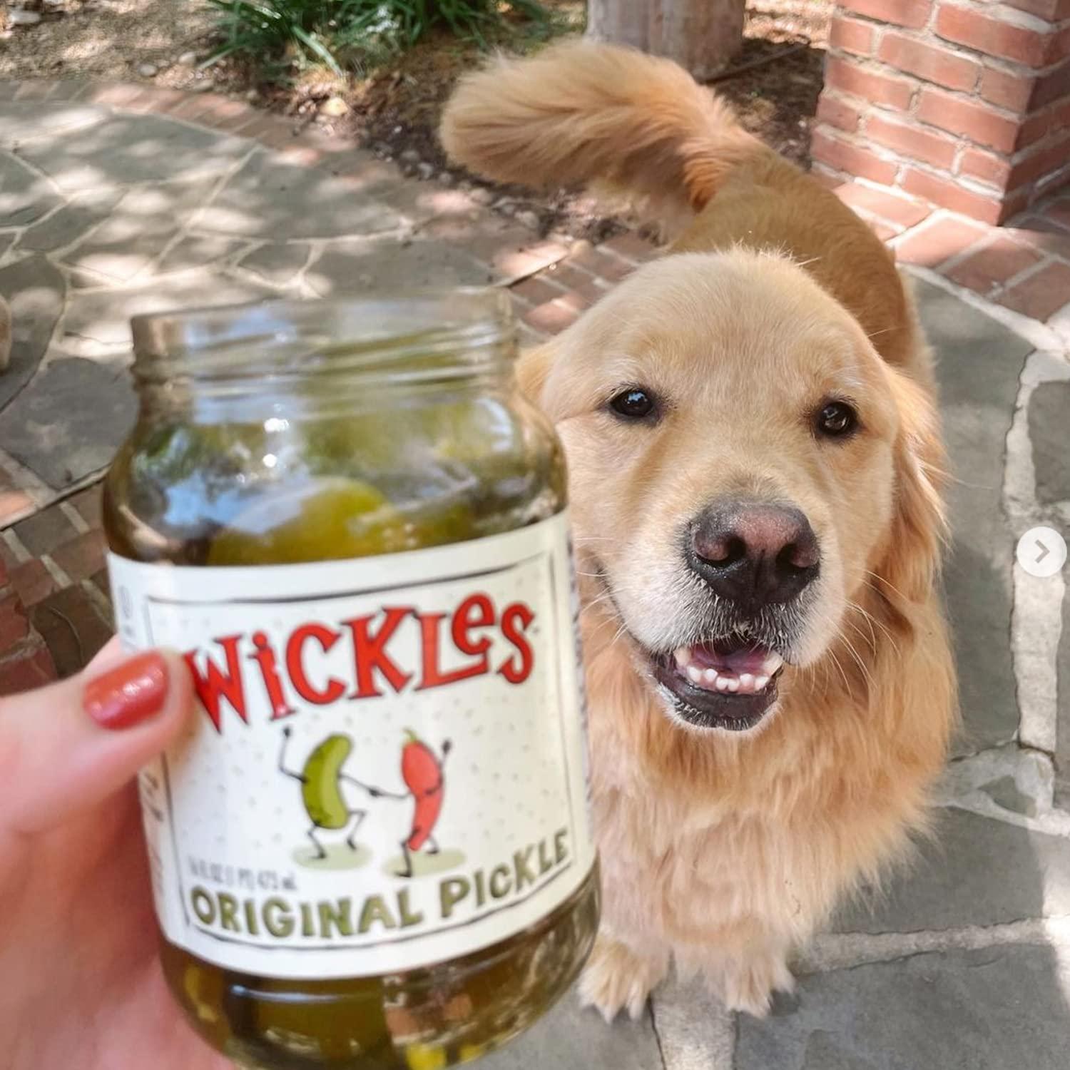 Wickles Pickles Original Pickles (6 Pack 16oz Each) Kosher Dill Pickle Chips Sweet