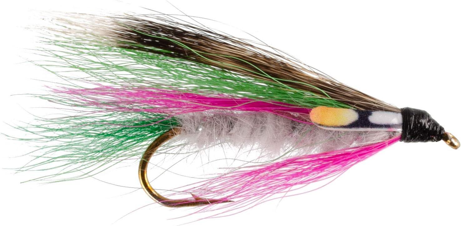 The Fly Fishing Place Classic Streamers Fly Fishing Flies Collection -  Assortment of 12 Trout Wet Fly Streamer Flies - Hook Size 4 by The Fly  Fishing