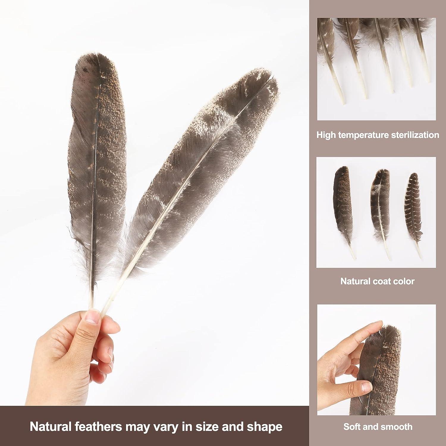Outuxed 15pcs Natural Turkey Feathers for Crafts 10-12 Inches Large Feathers  for Hat Floral DIY Home Wedding Party Decoration Collection