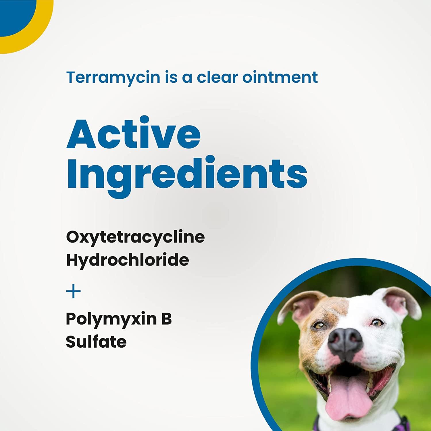 How Do I Apply Terramycin Ophthalmic Ointment To My Dog