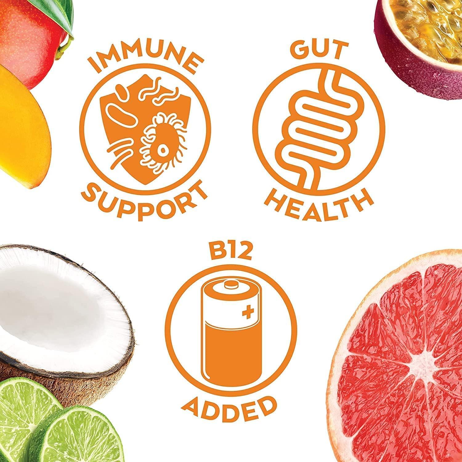 Humm Kombucha Hopical Paradise Variety Pack 2 Billion Probiotics