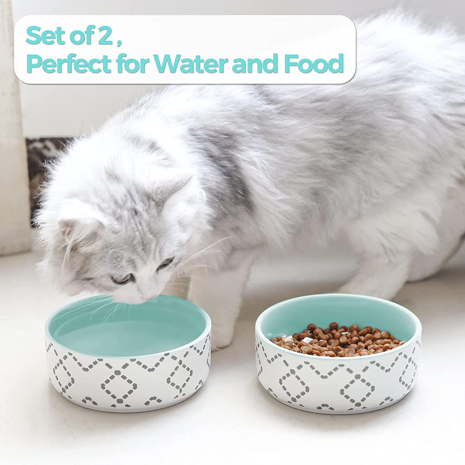 Creativity Fish Shape Ceramic Cat Dog Puppy Feeding Bowl Dish Stand No  Spill Pet Food Water Feeder Cats Small Dog Pet Bowl - Cat Bowls - AliExpress