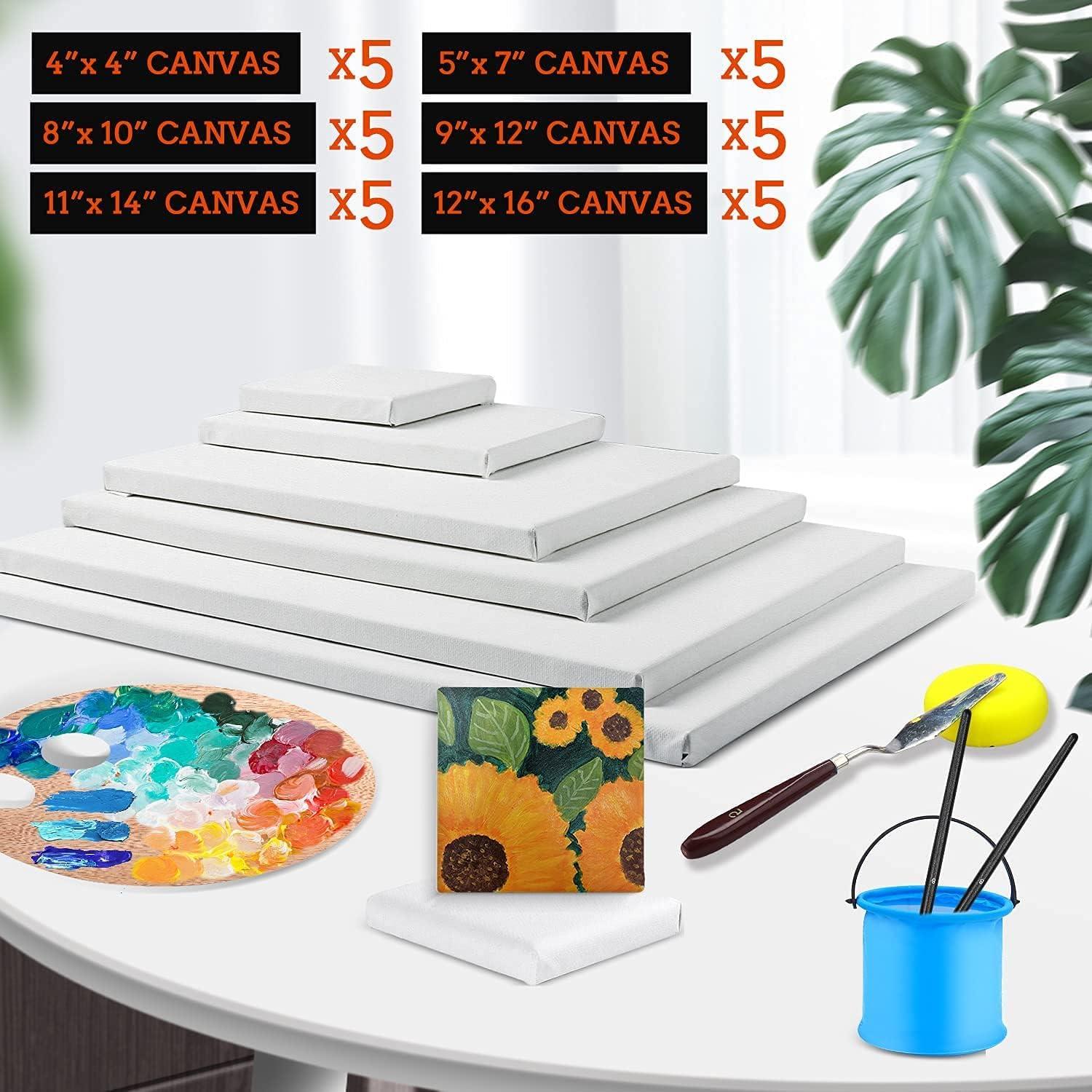 Canvases for Painting, Painting Supplies with 20 Cotton Canvas Panels, 4x4,  5x7, 8x10, 9x12, 11x14 inches (4 of Each), with 24 Acrylic Paints, 10