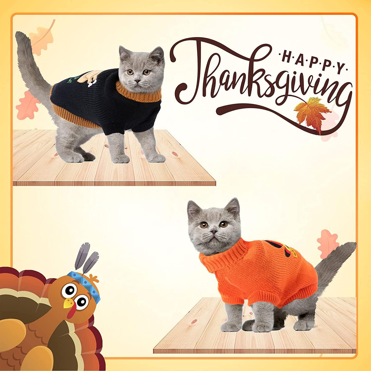 Thanksgiving Hundesweatshirt 2er Set - Für Kleine & Mittelgroße Hunde & Katzen | Orange, Mit Kapuze, Größe M