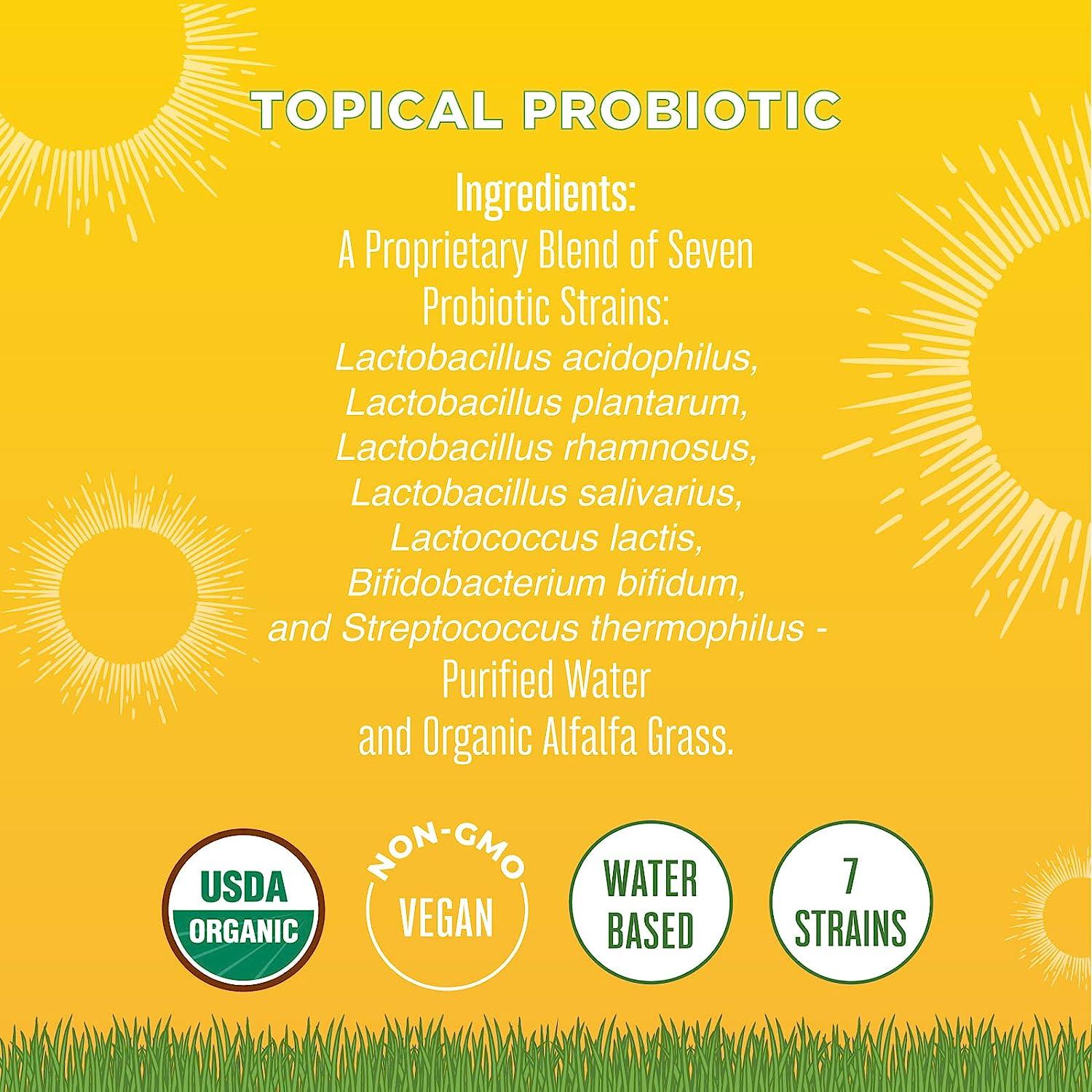 Organic Topical Probiotic for Digestive Health Lactobacillus Acidophilus Gut & Immune