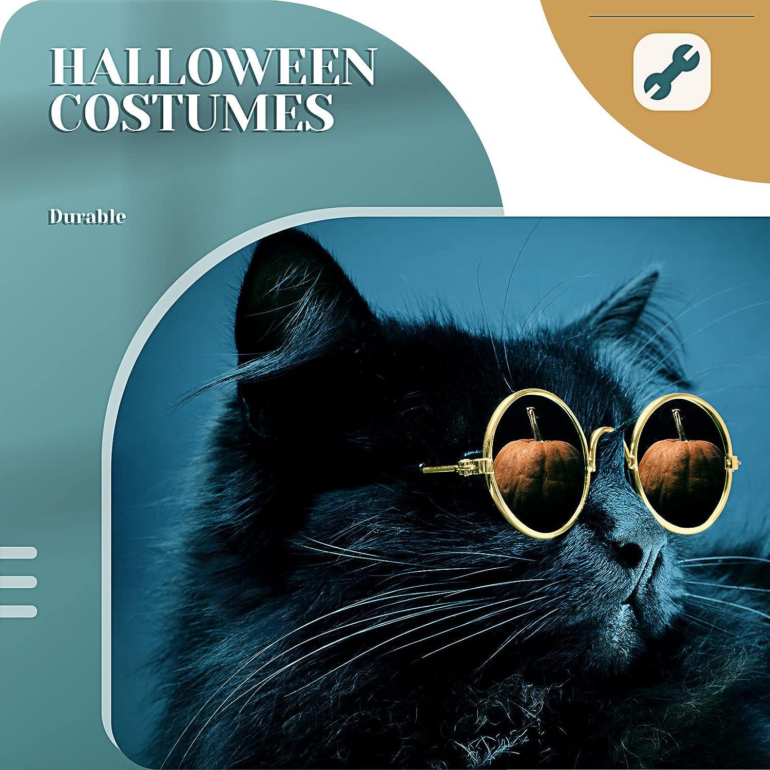 Retro Dog Sunglasses Classic Round Pet Glasses for Cats and Dogs