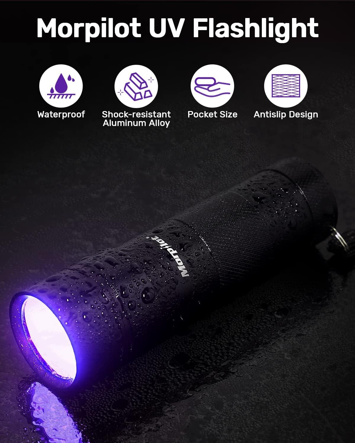 Morpilot Blacklight Flashlights UV 395nm 12 LED - 2 Pack Mini Pet Urine Detector Light for Dog/Cat, Dry Stains, Resin Curing, Bed Bug - Black Light Flashlight | Buy Now with Express Morpilot Blacklight Flashlights UV 395nm 12 LED - 2 Pack Mini Pet Urine Detector Light for Dog/Cat, Dry Stains, Resin Curing, Bed Bug - Black Light Flashlight | Buy Now with Express