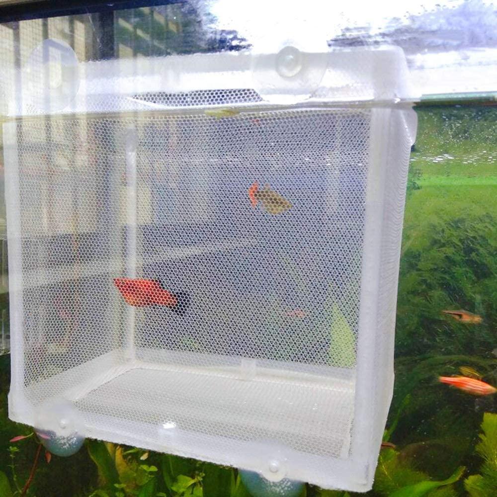 Aquarium Fish Breeder Box, Fish Isolation Box, Hatching Box, Juvenile
