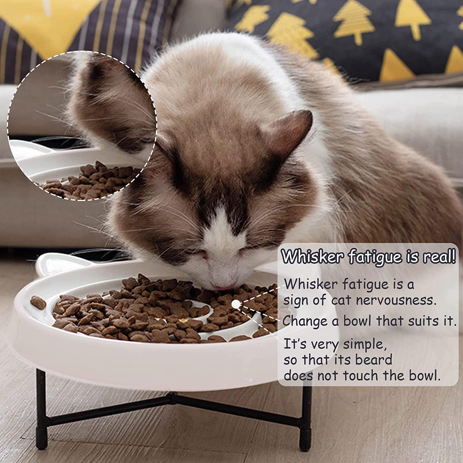 Best Elevated Cat Bowls Elevated S With Metal Stand Anti-Vomit