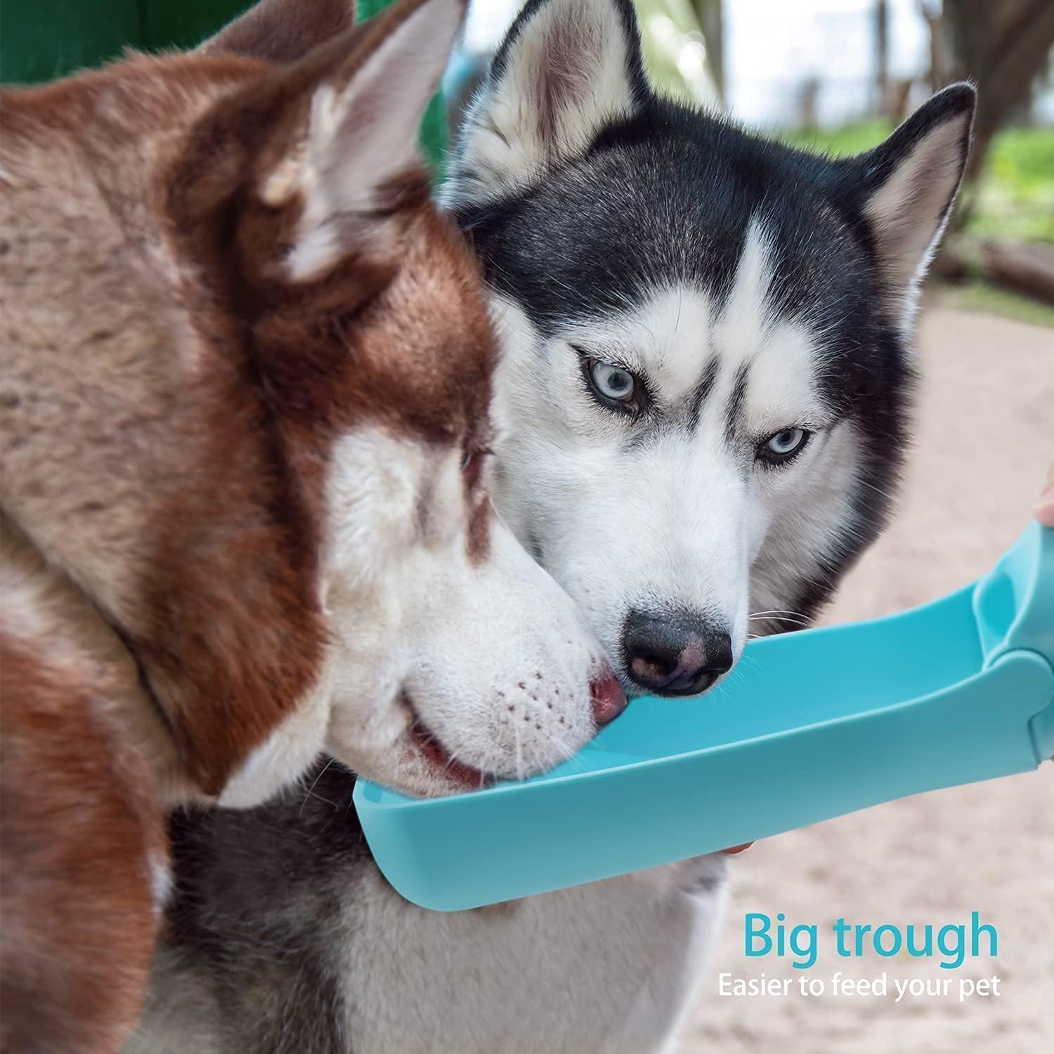 Husky top puppy accessories