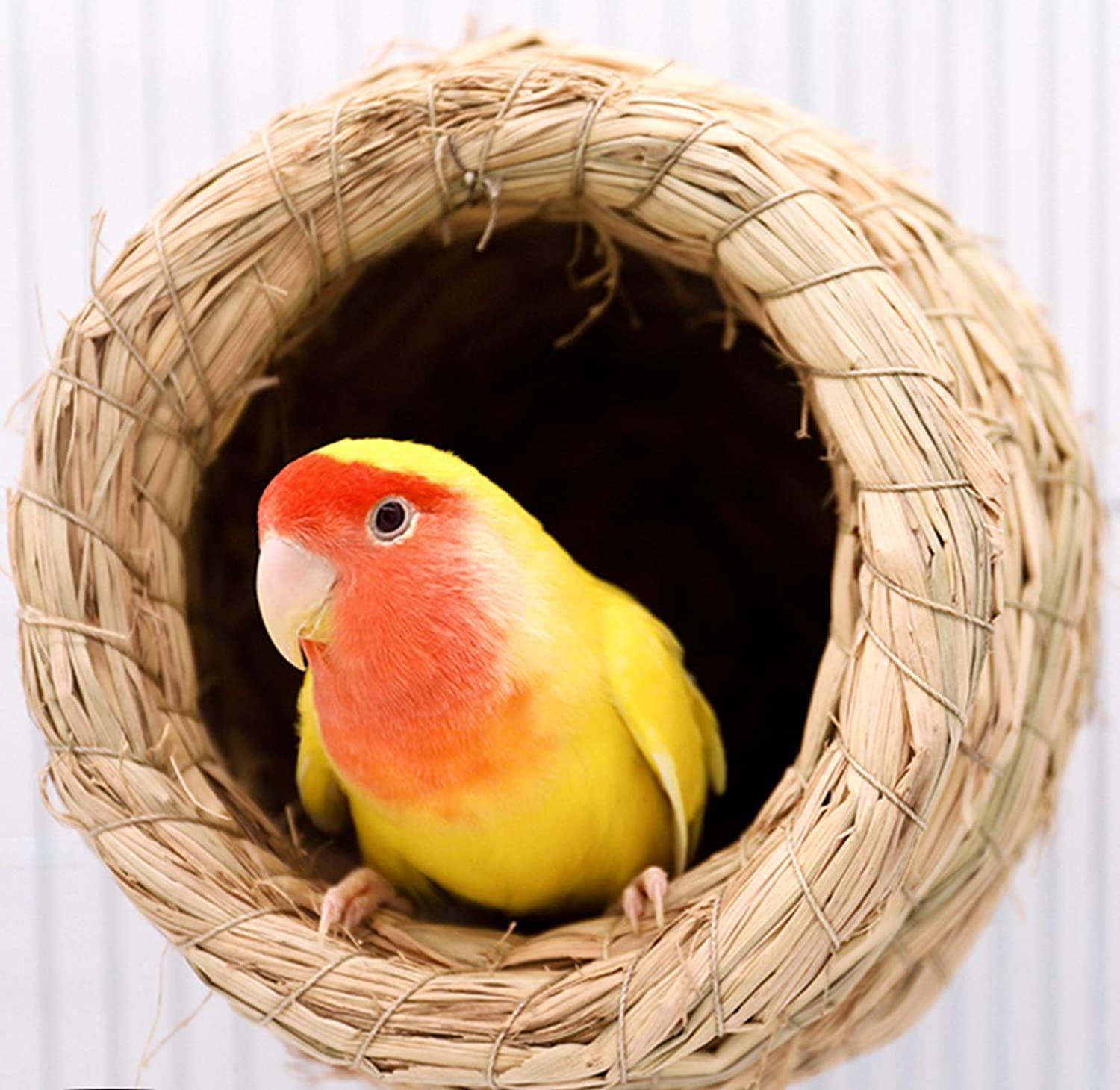 Natural Grass Bird House Ventilated Weaved Hanging Parrot Nest