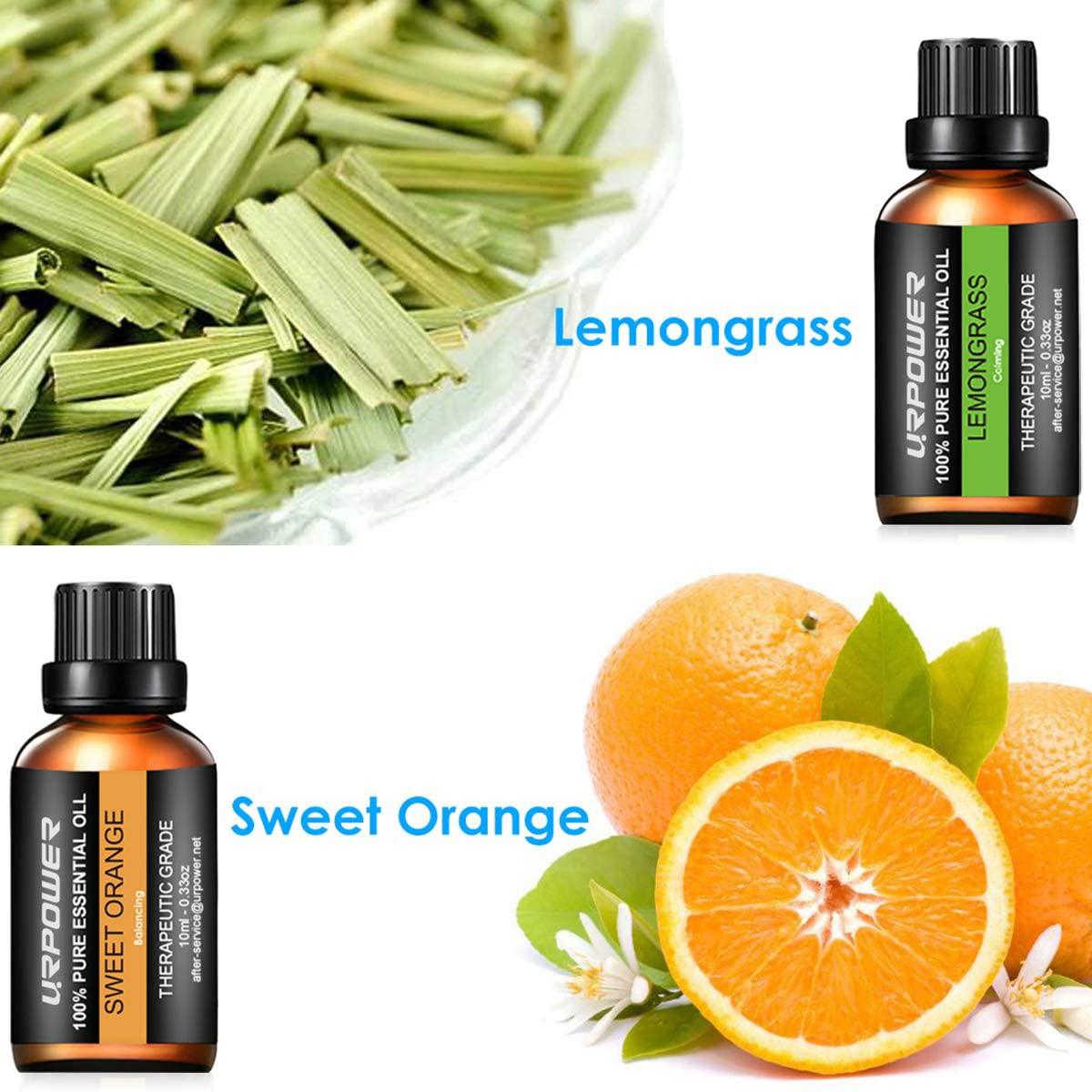 GREENSLEEVES Essential Oil Set for Diffusers, Cinnamon, Lemon, Orange,  Nutmeg, Lime and Patchouli Essential Oil Set, Pure Organic Aromatherapy