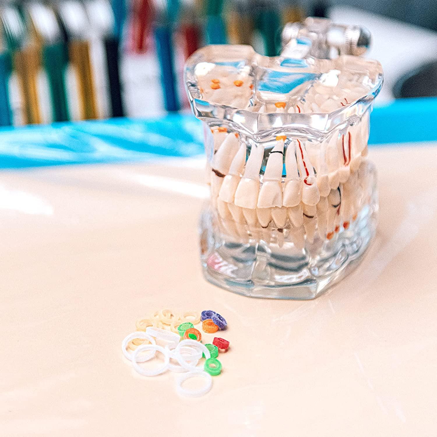 JMU Orthodontic Neon Elastics 3/16 Inch Heavy 6.5oz 500 pack Intraoral