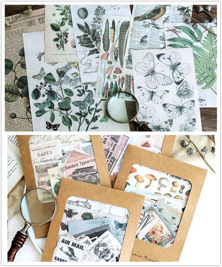 DESEACO Vintage Aesthetic Posters for Room Aesthetic Wall Decor Plant  Journal Green Room Decor for Teen Girls Botanical Wall Art in Nature Journal  Cute Journaling Supplies Aesthetic Collage Kit