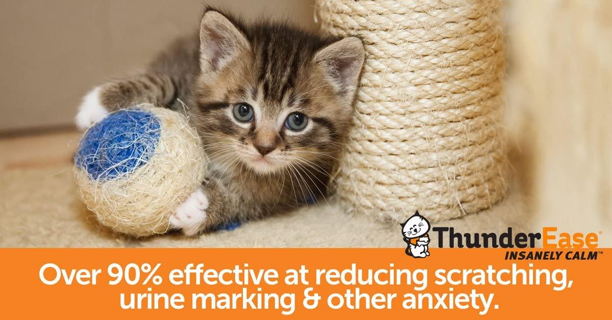 Thunderease cat calming top diffuser